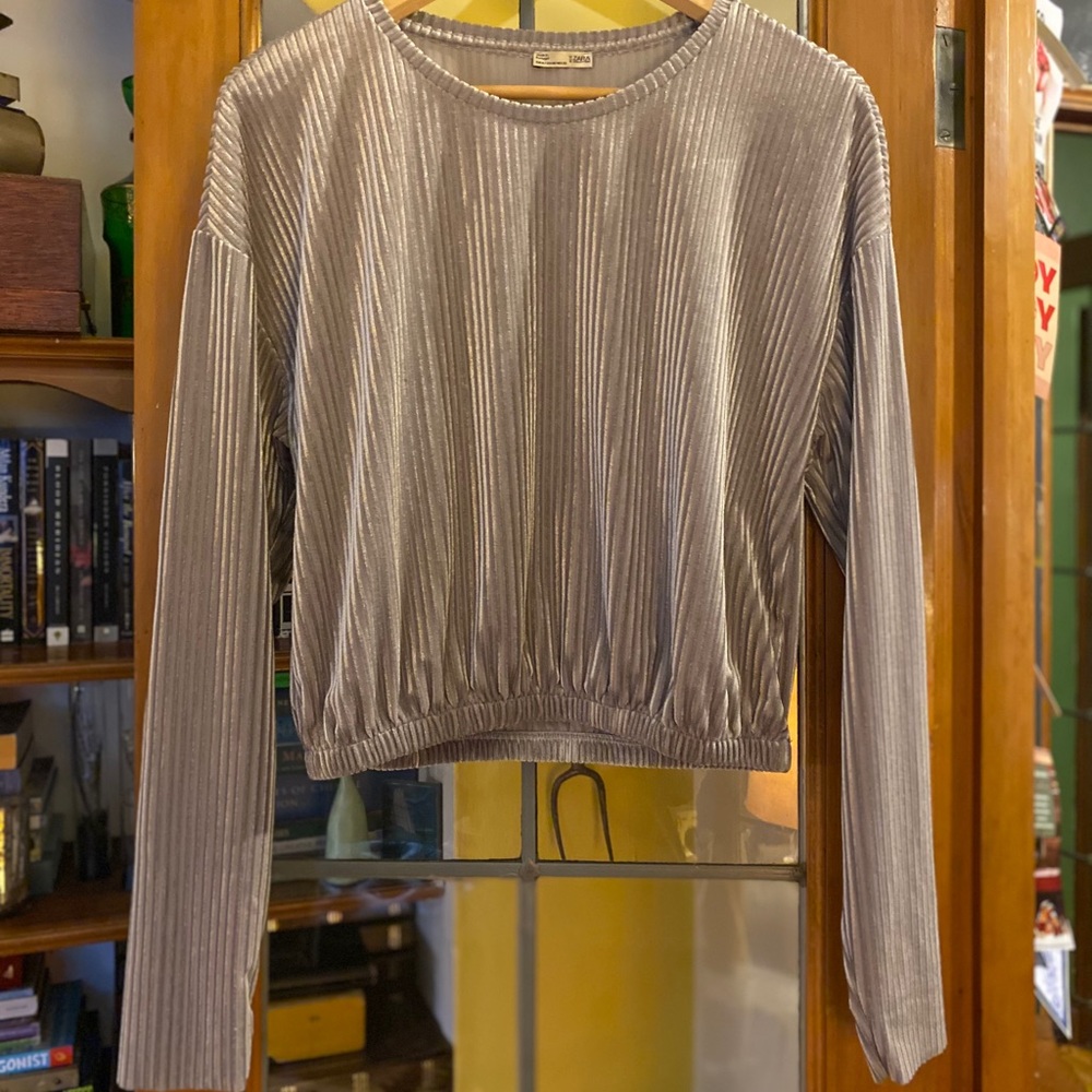 Zara Silver Velvet Ribbed Top M